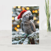 Santa’s Little African Grey Helper カード (正面)