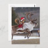 Santa Squirrel Riding a Reindeer ポストカード (正面/裏面)