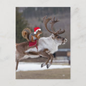 Santa Squirrel Riding a Reindeer ポストカード (正面)