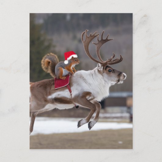 Santa Squirrel Riding a Reindeer ポストカード (正面)