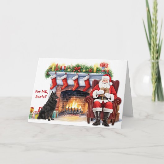 Santa's Gift Belgian Sheepdog Christmas シーズンカード (正面)