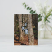 Sapバケット ポストカード (スタンド正面)