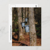 Sapバケット ポストカード (正面/裏面)