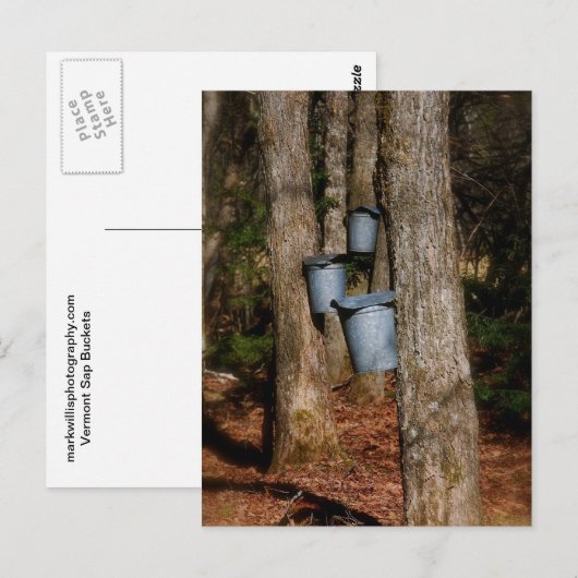 Sapバケット ポストカード (正面/裏面)