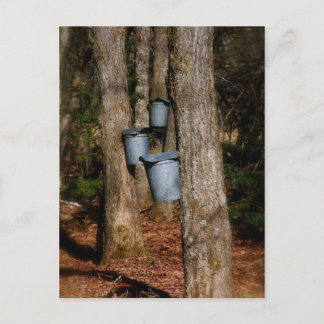 Sapバケット ポストカード