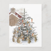 Sapin des lapins ポストカード (正面)