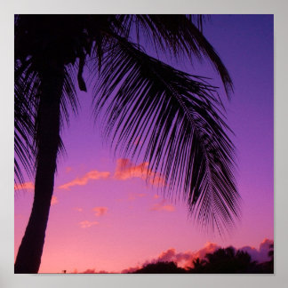 sapphire palm ポスター