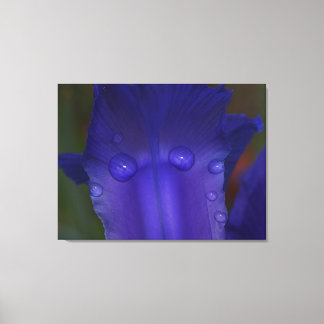 Sapphire Serenity  キャンバスプリント