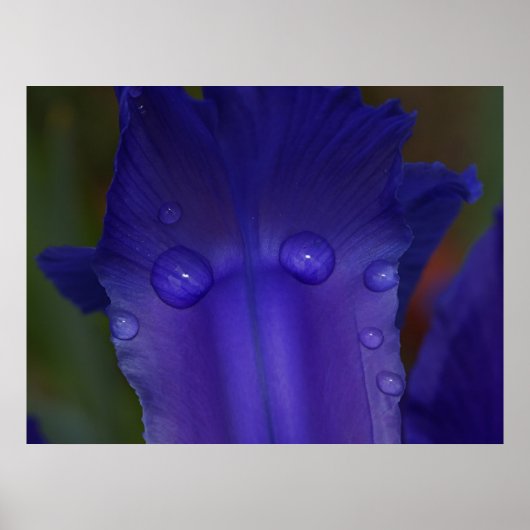 Sapphire Serenity  ポスター (正面)