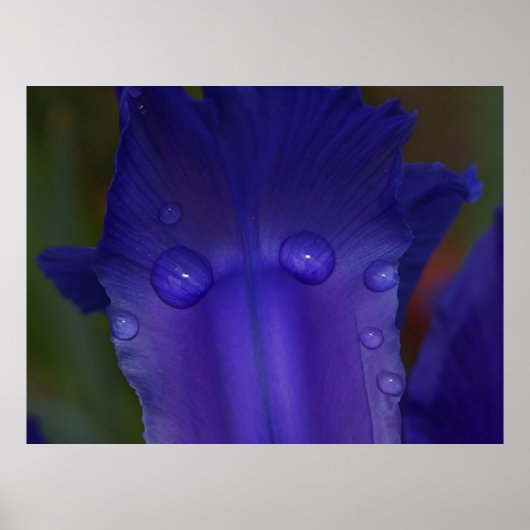 Sapphire Serenity ポスター (正面)