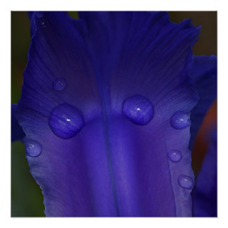 Sapphire Serenity  ポスター