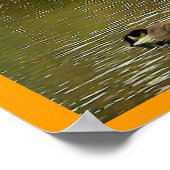 Sapsucker Woodsの池 ポスター (角)