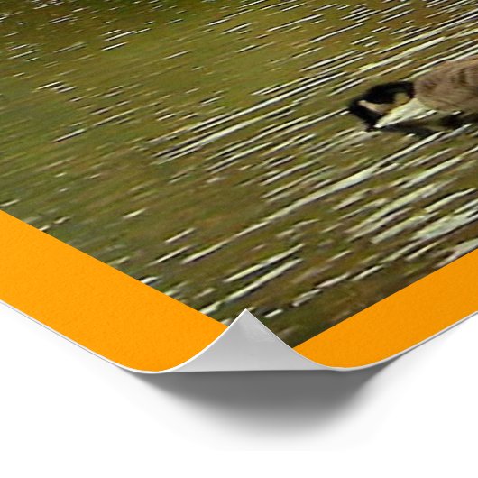 Sapsucker Woodsの池 ポスター (角)