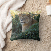 sarabiセット1 003 クッション (ブランケット)