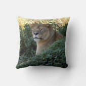 sarabiセット1 003 クッション (裏面)