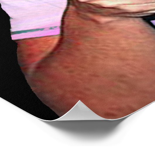 Sarah Palin ポスター (角)