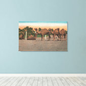 Sarasota, Florida – リンギングブロスのラクダ キャンバスプリント (インサイチュ (ウッドフロア))