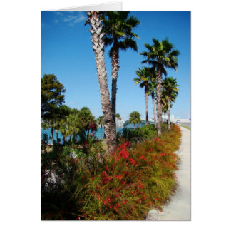 Sarasota Ringling橋