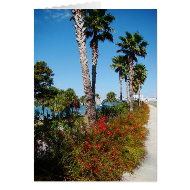 Sarasota Ringling橋 (正面)