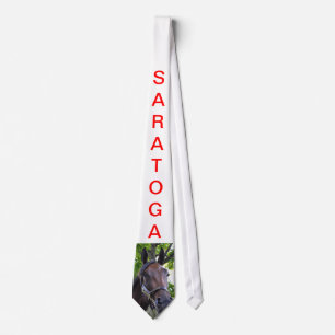 Saratogaからの場面 ネクタイ