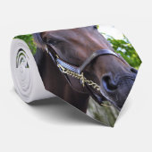 Saratogaからの場面 ネクタイ (ロール)