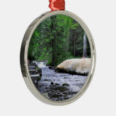 Saratogaのスパの州の公園間欠泉の入り江 メタルオーナメント (右)