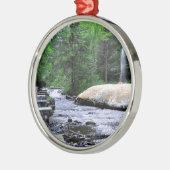 Saratogaのスパの州の公園間欠泉の入り江 メタルオーナメント (左)