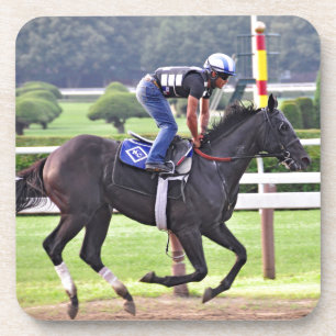 SaratogaのニックCaniniのトレーニング コースター
