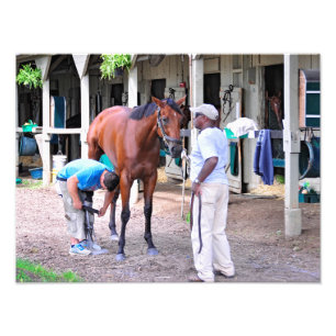 Saratogaの歴史的な競技場 フォトプリント