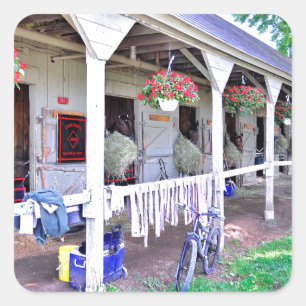 Saratogaの馬小屋"馬避難所" スクエアシール