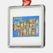 Saratoga SpringsニューヨークNY古い旅行記念品 メタルオーナメント (左)