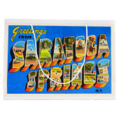 Saratoga SpringsニューヨークNY古い旅行記念品 ラージペーパーバッグ (裏面)