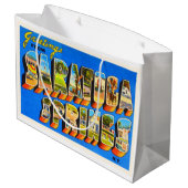 Saratoga SpringsニューヨークNY古い旅行記念品 ラージペーパーバッグ (裏面アングル)