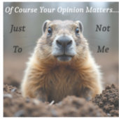 sarcastic Your opinion matters シール (正面)