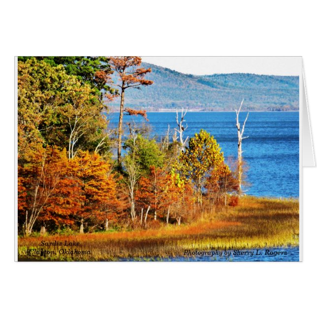 Sardis Lake~の~Eagles (正面横)
