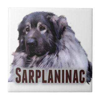 Sarplaninac タイル