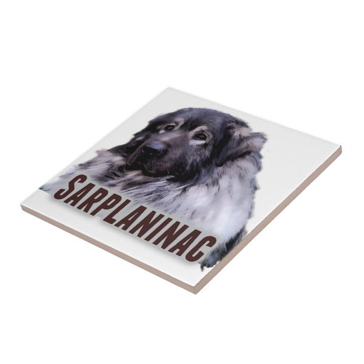 Sarplaninac タイル (側面)