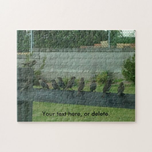 Sarrows Birds on a railあなたの言葉パズル ジグソーパズル (横)