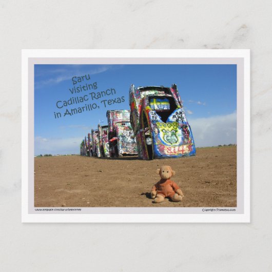 Saruの郵便はがき1 ポストカード (正面)