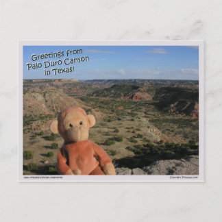 Saru #3 ポストカード