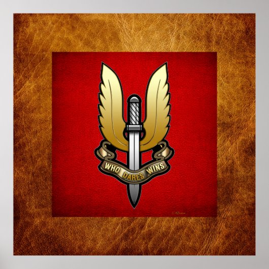 SAS（特別航空サービス） ポスター (正面)