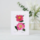 Sasanqua Plate: Asahinoumi & Godaishu ポストカード (スタンド正面)