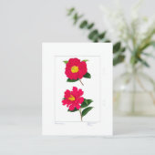 Sasanqua Plate: Ryomenko & Hiryu  ポストカード (スタンド正面)