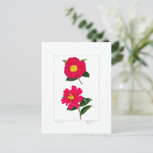 Sasanqua Plate: Ryomenko & Hiryu  ポストカード (スタンド正面)