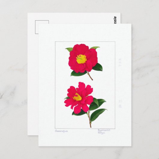 Sasanqua Plate: Ryomenko & Hiryu ポストカード (正面/裏面)