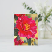 Sasanqua [Postcard] ポストカード (スタンド正面)