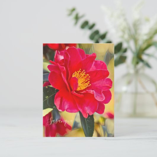 Sasanqua [Postcard] ポストカード (スタンド正面)