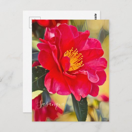 Sasanqua [Postcard] ポストカード (正面/裏面)