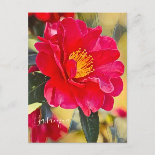 Sasanqua [Postcard] ポストカード (正面)