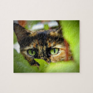 Sasha ジグソーパズル